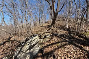 E10880 Co Rd P, Clinton, WI 54667 - Photo 57