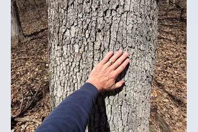 E10880  County Road P -, Clinton, WI 54667 - Photo 53