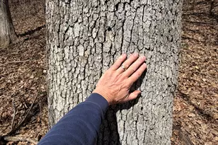 E10880 Co Rd P, Clinton, WI 54667 - Photo 53