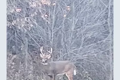 E10880  County Road P -, Clinton, WI 54667 - Photo 37