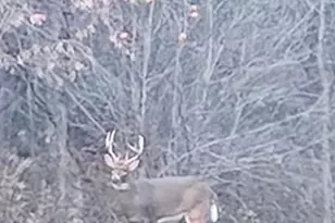 E10880 Co Rd P, Clinton, WI 54667 - Photo 37