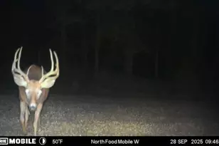 E10880 Co Rd P, Clinton, WI 54667 - Photo 7