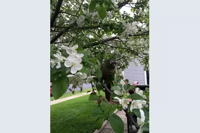 1214  Dayflower Dr, Madison, WI 53719 - Photo 49