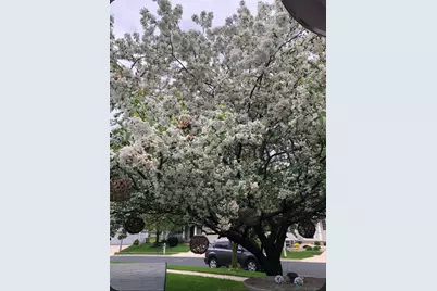 1214  Dayflower Dr, Madison, WI 53719 - Photo 47