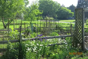 W331S4025 Connemara Dr, Genesee, WI 53118 - Photo 43