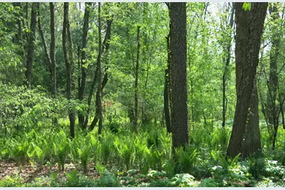 W331S4025  Connemara Dr, Genesee, WI 53118 - Photo 45