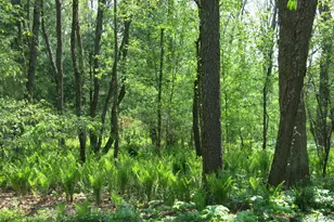 W331S4025 Connemara Dr, Genesee, WI 53118 - Photo 45