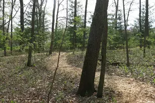 W331S4025 Connemara Dr, Genesee, WI 53118 - Photo 47