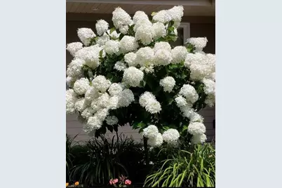 2224  Markham St, Manitowoc, WI 54220 - Photo 5