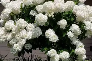 2224 Markham St, Manitowoc, WI 54220 - Photo 5