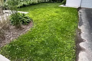 1918 E Eden Pl, Saint Francis, WI 53235 - Photo 29