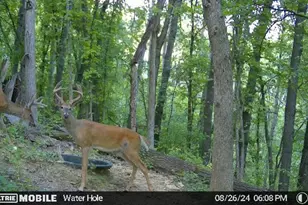 W4824 Puent Rd, Barre, WI 54601 - Photo 17