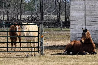 9518  State Highway 144 Hwy, Farmington, WI 53040 - Photo 9
