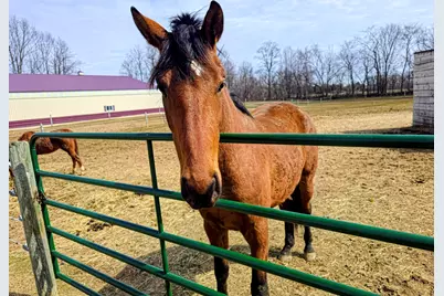 9518  State Highway 144 Hwy, Farmington, WI 53040 - Photo 37