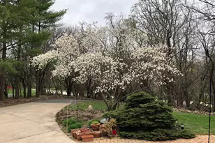 302 Wakefield Downs, Wales, WI 53183 - Photo 29