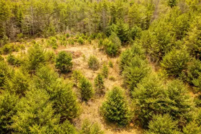 00  18th Ave, Necedah, WI 54646 - Photo 7