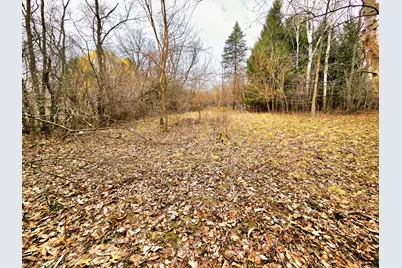 Lts 6-9  Arbutus Rd, Sugar Creek, WI 53121 - Photo 1