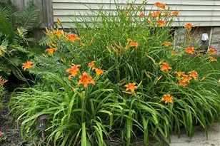 2640 N 48th St, Milwaukee, WI 53210 - Photo 43