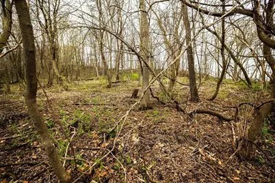 0  Glomstad Rd, Holmen, WI 54636 - Photo 9