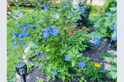 131  Oakland Ave, Mukwonago, WI 53149 - Photo 45