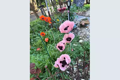 131  Oakland Ave, Mukwonago, WI 53149 - Photo 41