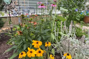 131 Oakland Ave, Mukwonago, WI 53149 - Photo 43