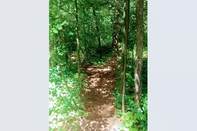 N13703  Canar Rd, Trempealeau, WI 54661 - Photo 81