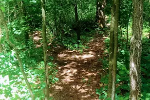 N13703 Canar Rd, Trempealeau, WI 54661 - Photo 81