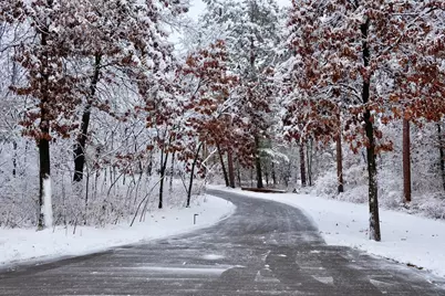 N13703  Canar Rd, Trempealeau, WI 54661 - Photo 101