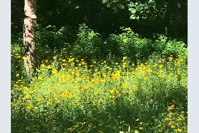 N13703  Canar Rd, Trempealeau, WI 54661 - Photo 83