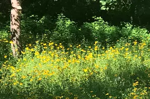 N13703 Canar Rd, Trempealeau, WI 54661 - Photo 83