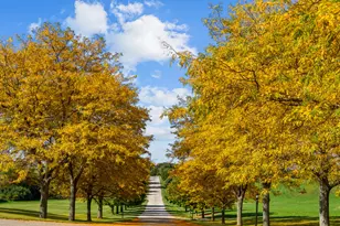 W5244 County Rd ES, Sugar Creek, WI 53121 - Photo 55