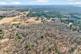 106 County Rd M, Lincoln, WI 53964 - Photo 5