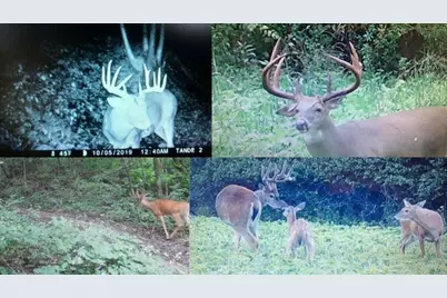 N7534  Skoy Coulee Rd, Farmington, WI 54644 - Photo 5