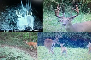 N7534 Skoy Coulee Rd, Farmington, WI 54644 - Photo 5