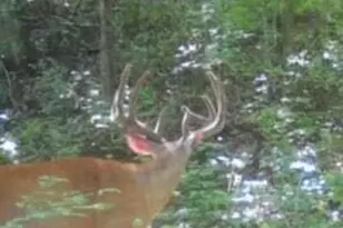 N7534 Skoy Coulee Rd, Farmington, WI 54644 - Photo 41