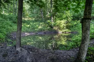 N7534 Skoy Coulee Rd, Farmington, WI 54644 - Photo 47