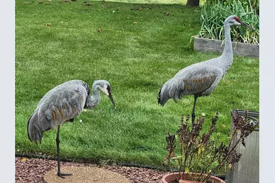 N106W16330  Fieldstone Pass, Germantown, WI 53022 - Photo 35