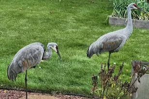 N106W16330 Fieldstone Pass, Germantown, WI 53022 - Photo 35