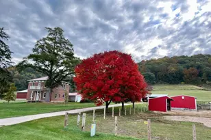 704 7th St, Brownsville, MN 55919 - Photo 21
