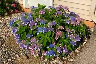 W3849 US Hwy 14/61 -, Greenfield, WI 54623 - Photo 9