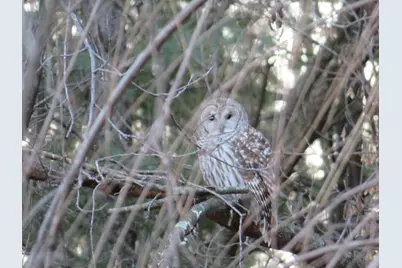 W4512  County Road Fo -, Shelby, WI 54601 - Photo 29