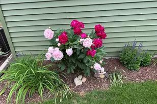 N169W20242 Wilshire Dr, Jackson, WI 53037 - Photo 25