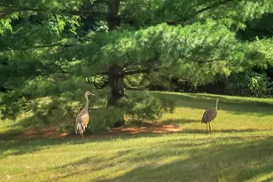 2293A Circle Ridge, Delafield, WI 53018 - Photo 23