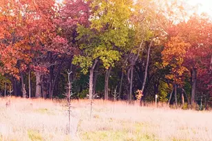 323 W Geneva St, Williams Bay, WI 53191 - Photo 65