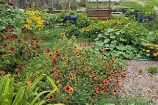 803 Hood St, La Crosse, WI 54601 - Photo 15