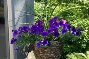 78 Woodfield Ct, Racine, WI 53402 - Photo 35