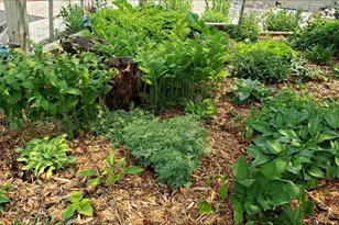 N11024 Deer Lake Rd, Stephenson, WI 54104 - Photo 63