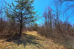 N11024 Deer Lake Rd, Stephenson, WI 54104 - Photo 53