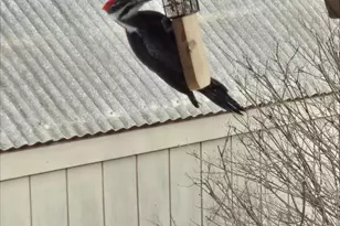 N11024 Deer Lake Rd, Stephenson, WI 54104 - Photo 77